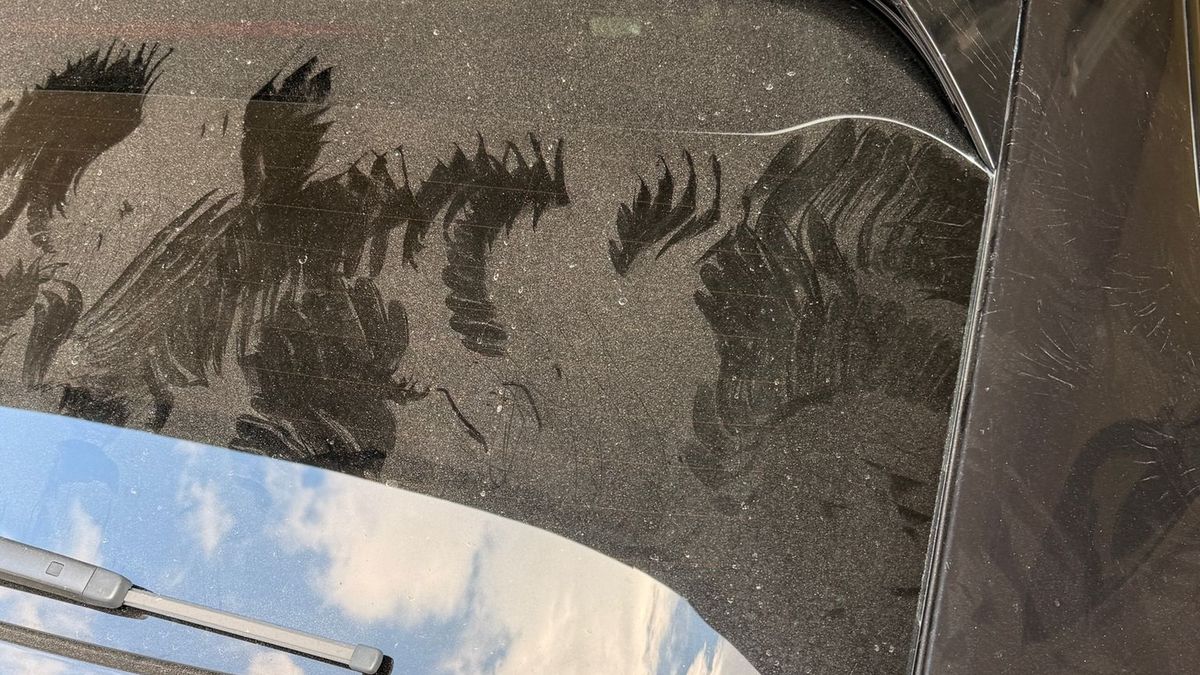 Jako scéna z Hitchcockova filmu. Neznámý dravec v Krkonoších zaútočil na automobil